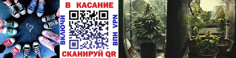 Где купить Пыталово Гашиш  Канабис  A PVP  Меф мяу мяу  Cocaine 