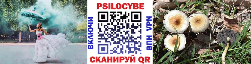 цены   Пыталово  Псилоцибиновые грибы MAGIC MUSHROOMS 