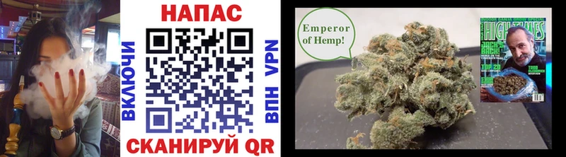 Бошки Шишки SATIVA & INDICA  сколько стоит  Пыталово 